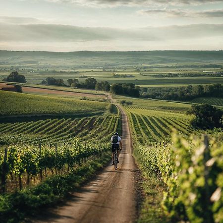 Falkensteiner Balance Resort Stegersbach - Adults Only Εξωτερικό φωτογραφία Vineyards in the Moselle region